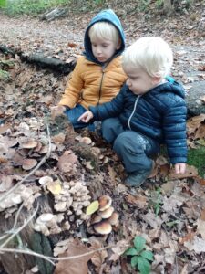 IMG_20241024_135945_434